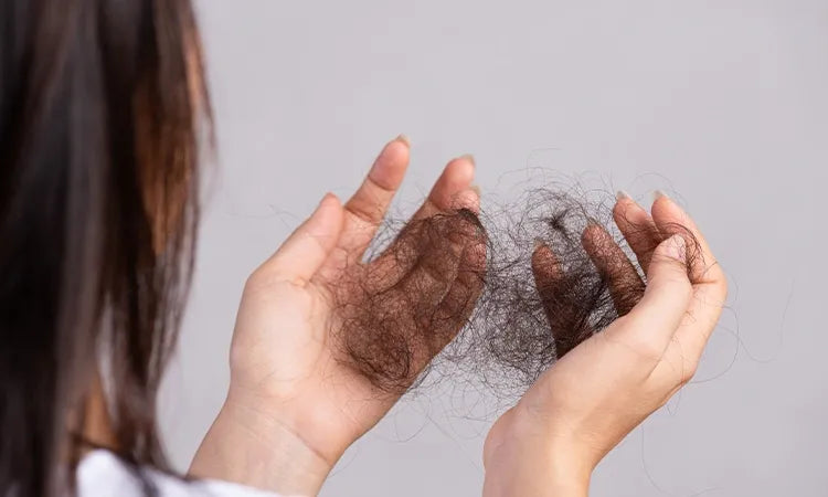 How to Avoid Hair Fall in Winter: Tips from Lorena Organics